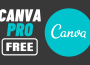 canva pro for free